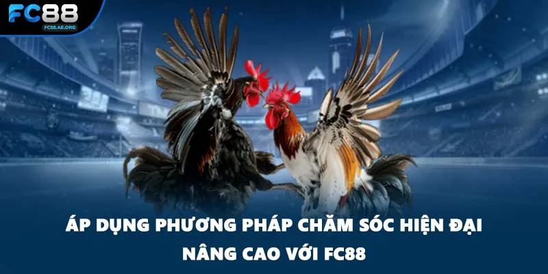 Áp dụng phương pháp chăm sóc hiện đại nâng cao với FC88