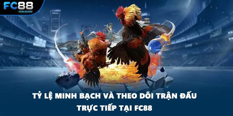Tỷ lệ minh bạch và theo dõi trận đấu trực tiếp tại FC88