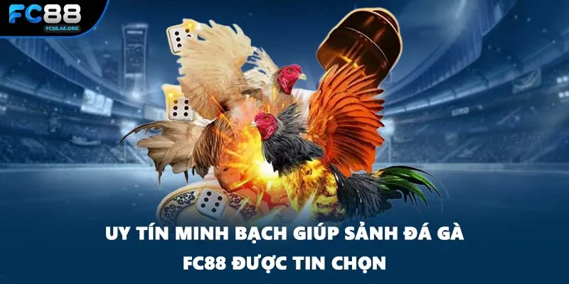 Uy tín minh bạch giúp sảnh đá gà FC88 được tin chọn